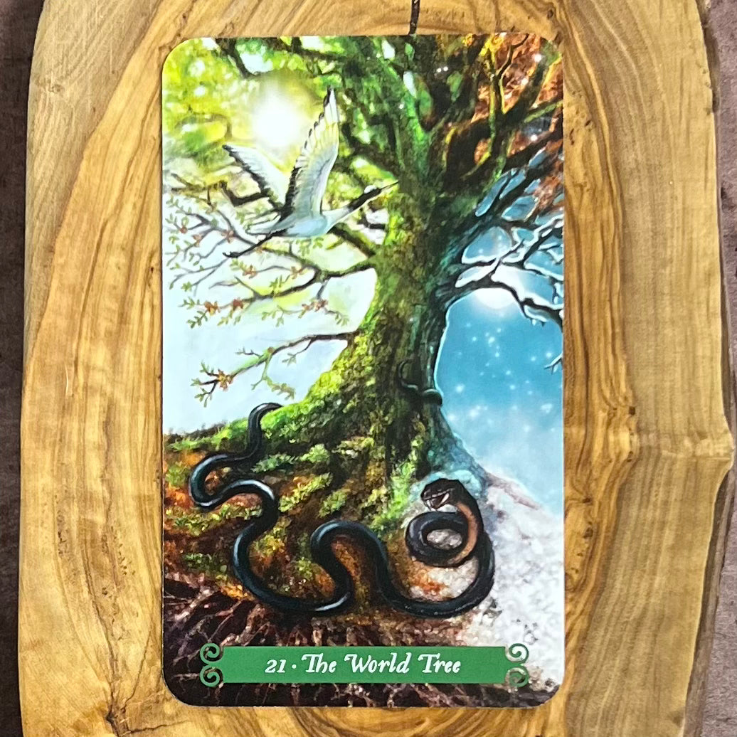 The Green Witch Tarot by Ann Moura and, Kiri Leonard