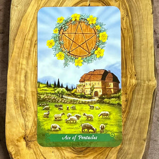 Green Witch Tarot Deck the ace of pentacles card