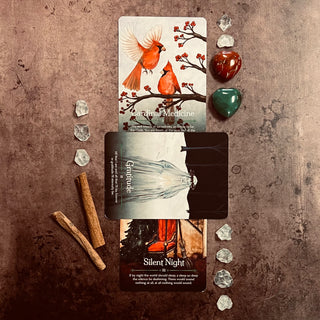 Seasons of the Witch Yule Oracle: 44 gilded cards and 144-page book by Lorraine Anderson