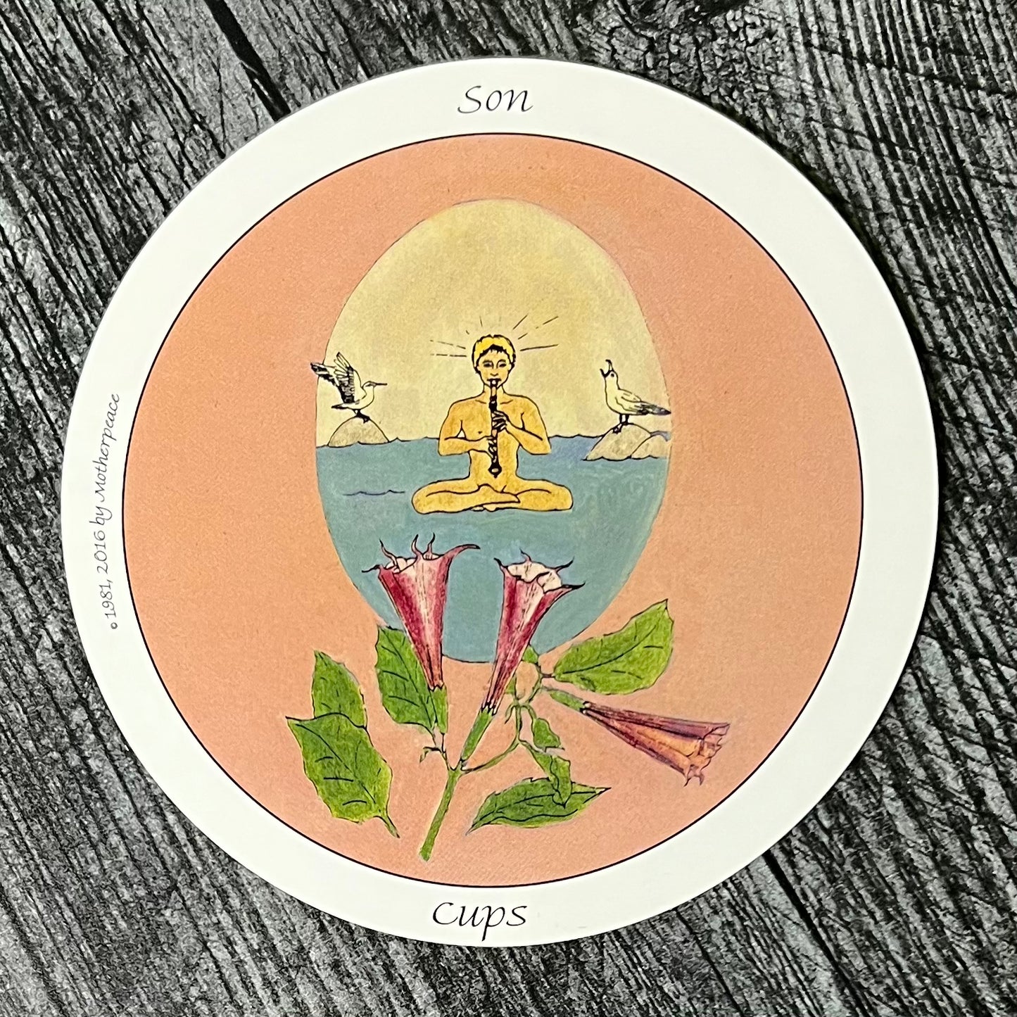 Motherpeace Round Tarot Deck by Karen Vogel and Vicki Noble