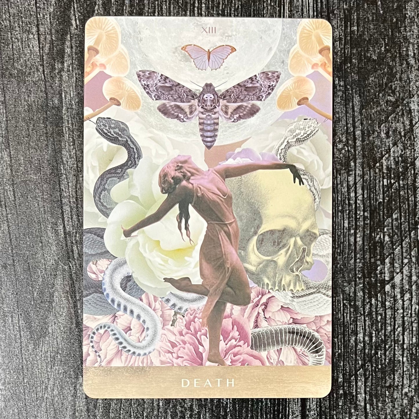 Moonchild Tarot by Danielle Noel