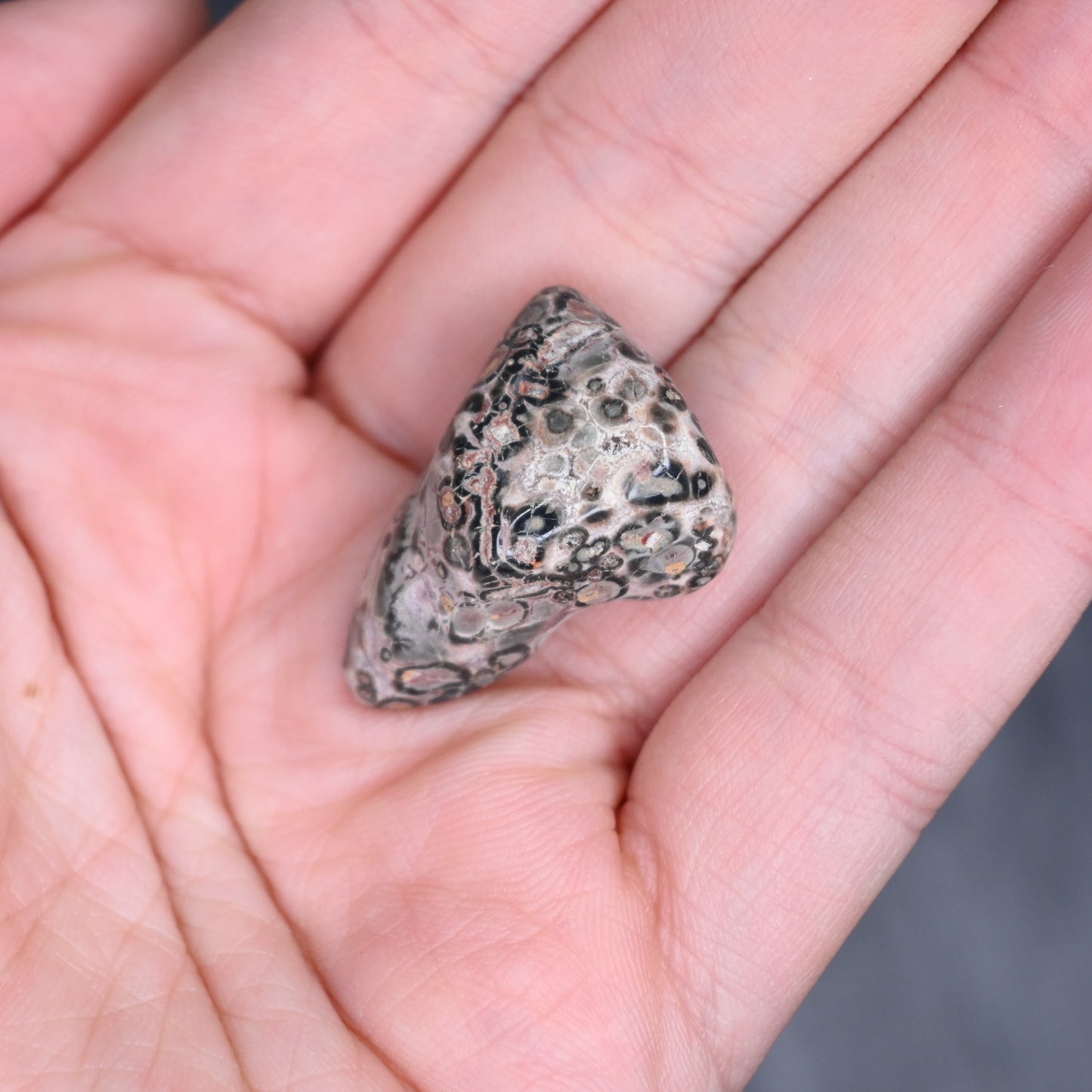 Leopard Jasper Tumbled Crystal