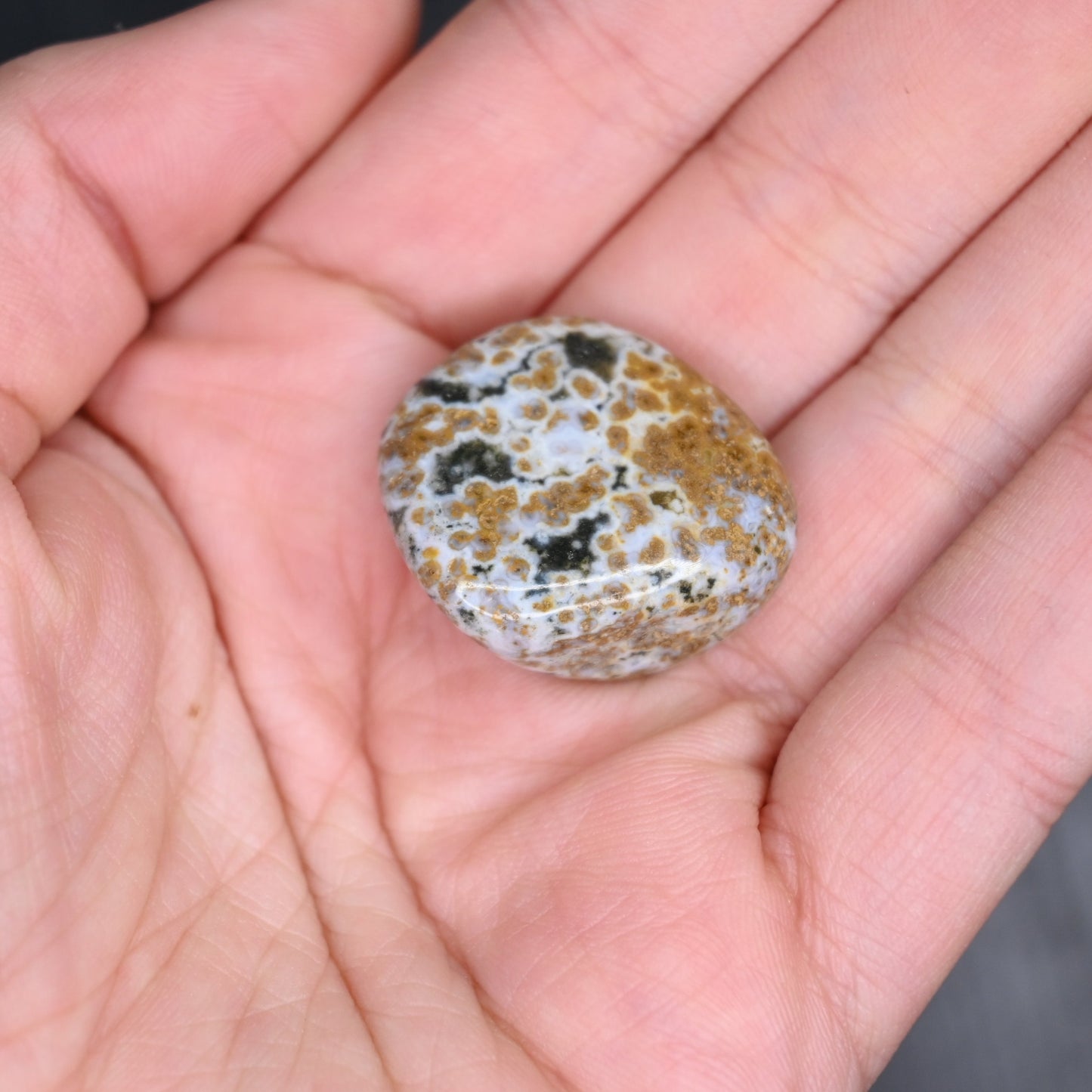 Ocean Jasper