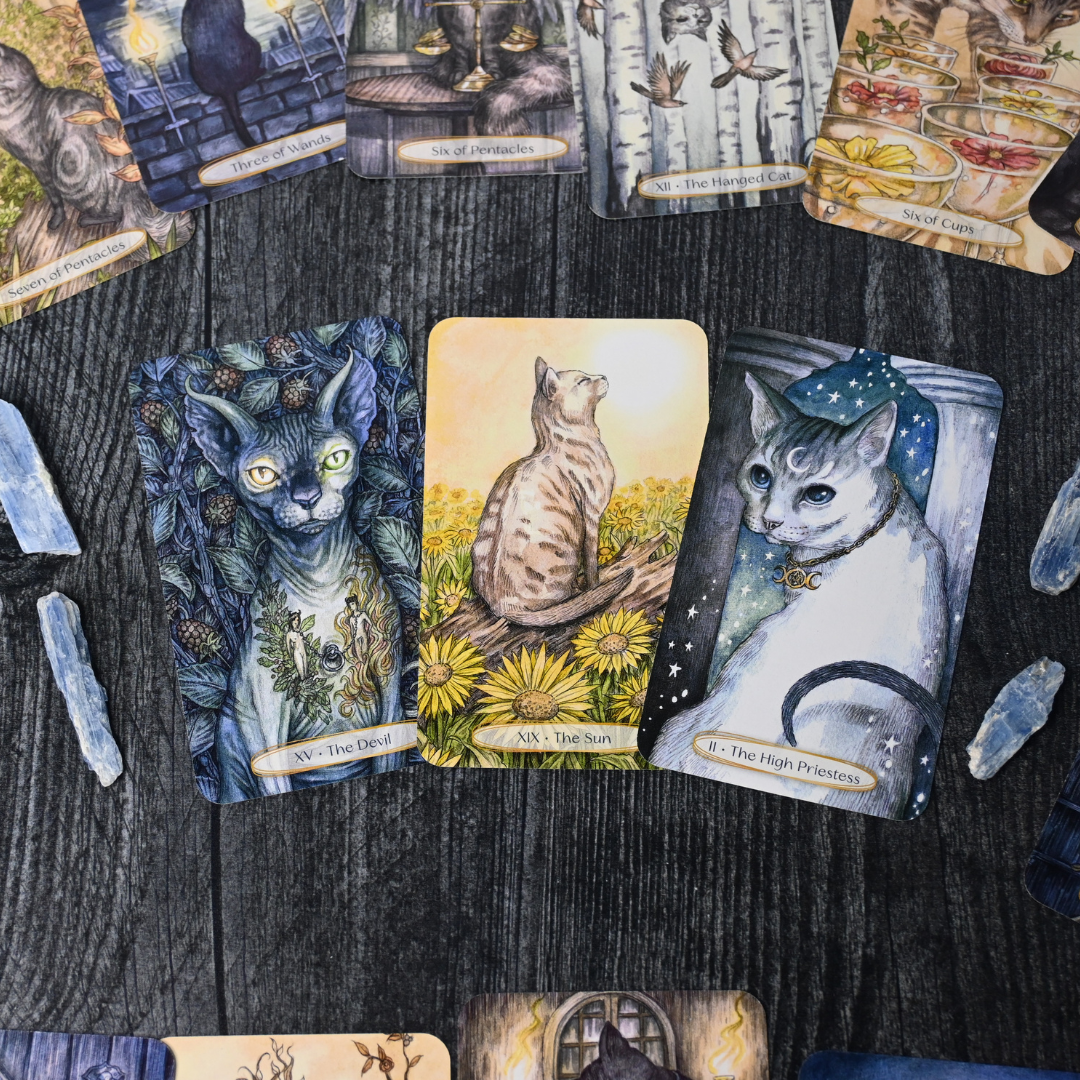 Soul Cats Tarot