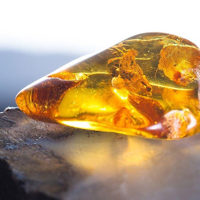 Amber Oil By Sun's Eye - The Mystical Moon Online Store