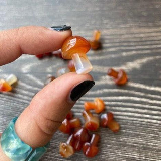 Carnelian Mushrooms - The Mystical Moon Online Store