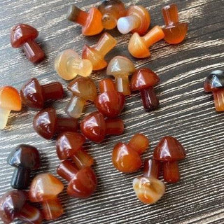 Carnelian Mushrooms - The Mystical Moon Online Store