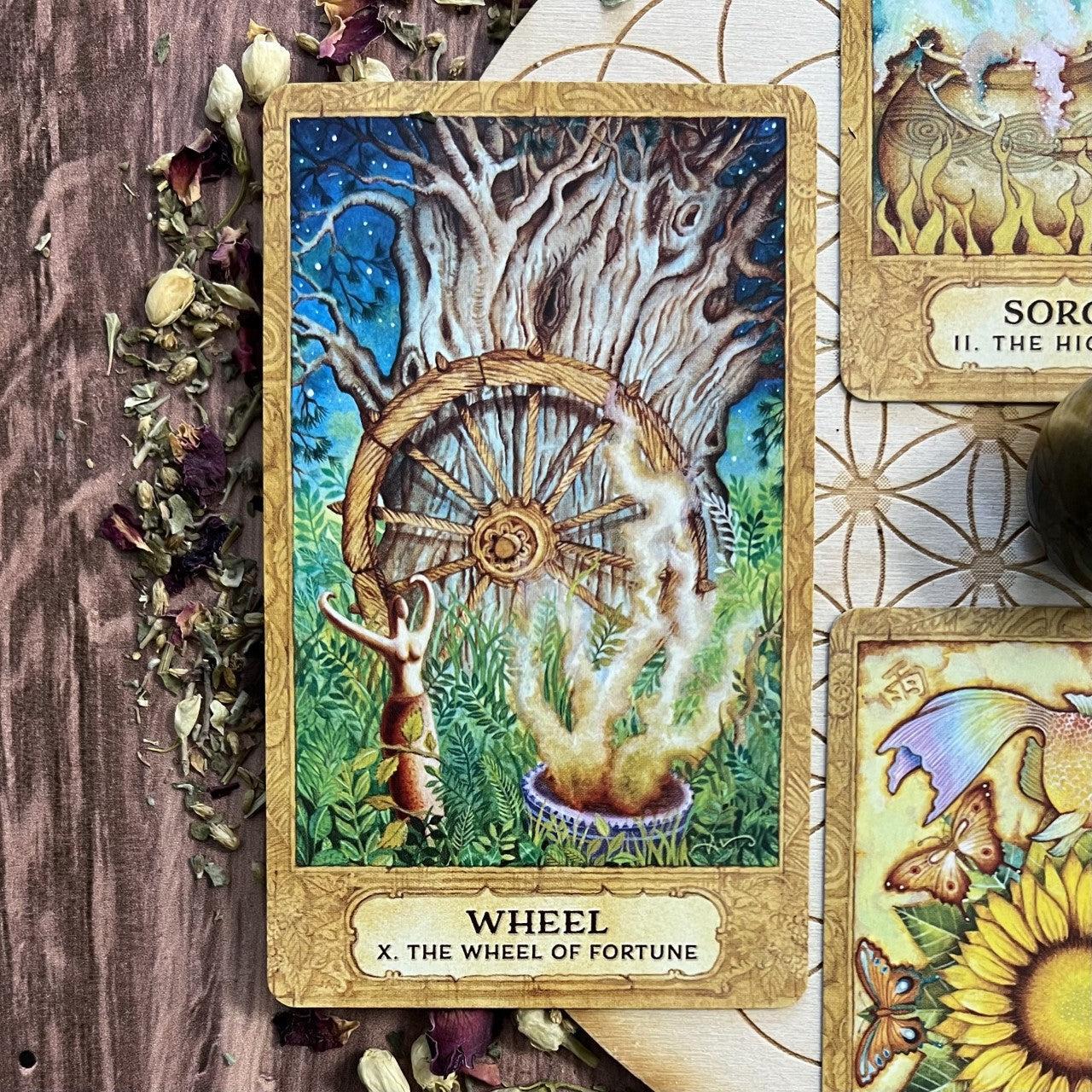 Chrysalis Tarot by Toney Brooks and Holly Sierra - The Mystical Moon Online Store