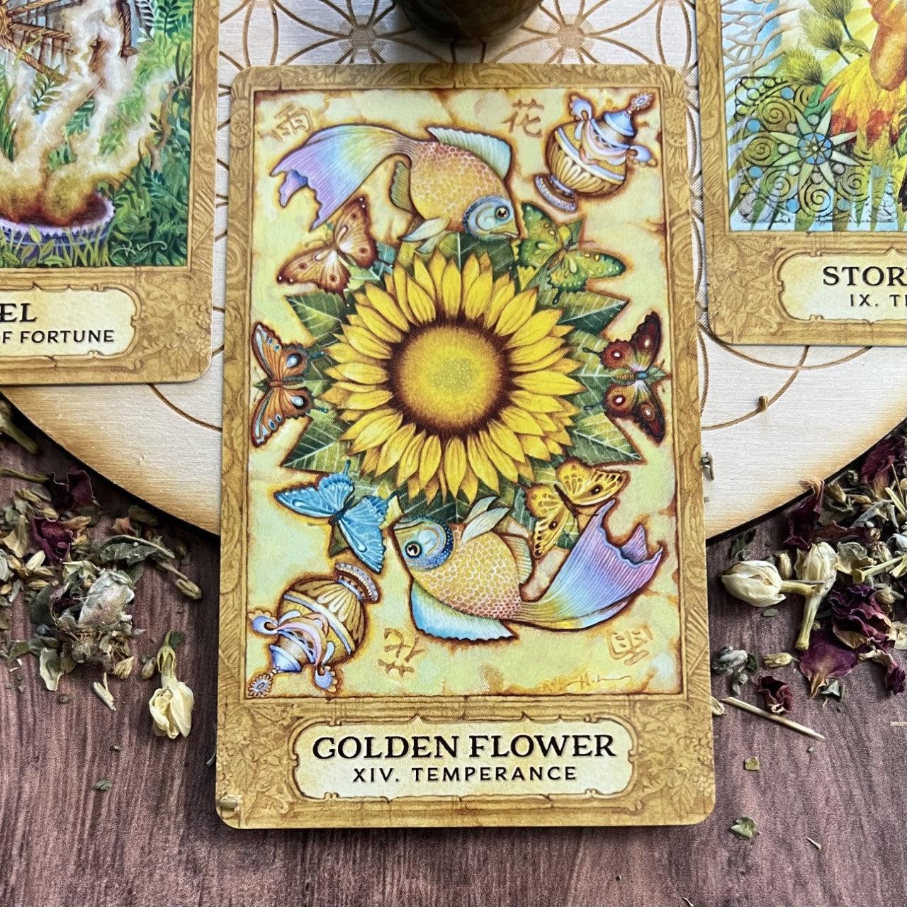 Chrysalis Tarot by Toney Brooks and Holly Sierra - The Mystical Moon Online Store