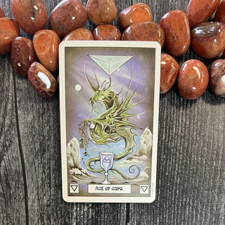 Dragon Tarot Cards by Terry Donaldson - The Mystical Moon Online Store