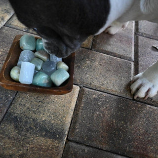 Intuitive Crystal Picks By Luna Belle - The Mystical Moon Online Store