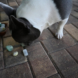 Intuitive Crystal Picks By Luna Belle - The Mystical Moon Online Store