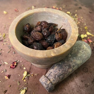 Rose Hips 3x4 Bag - The Mystical Moon Online Store