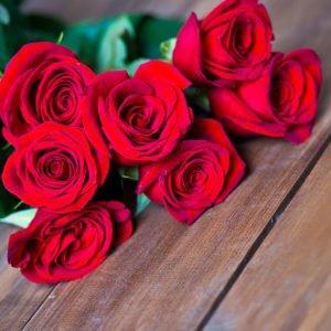 Rose Oil By Sun's Eye - The Mystical Moon Online Store