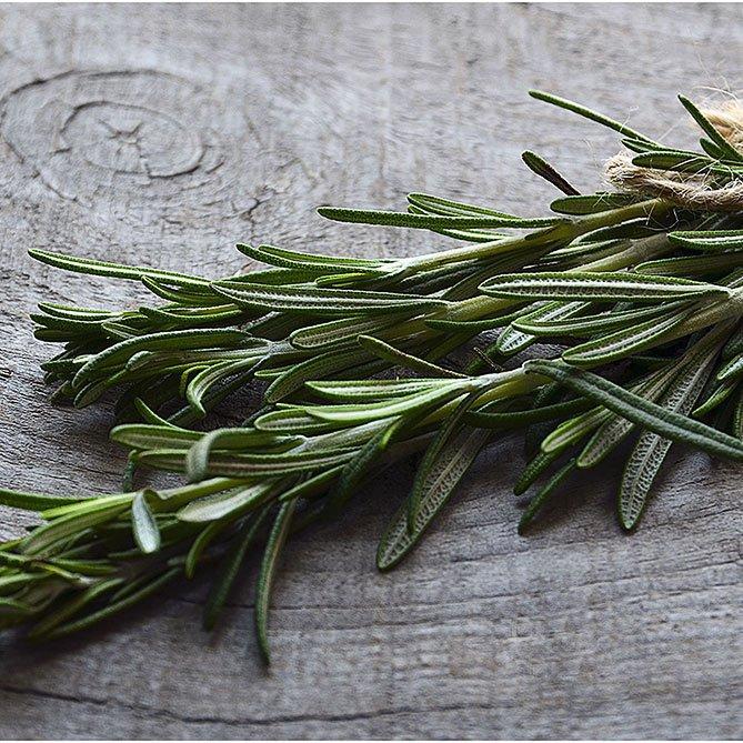 Rosemary Oil By Sun's Eye - The Mystical Moon Online Store
