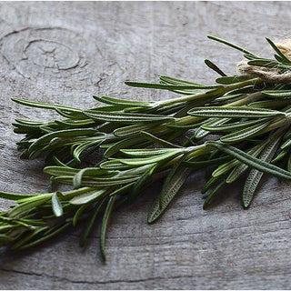 Rosemary Oil By Sun's Eye - The Mystical Moon Online Store