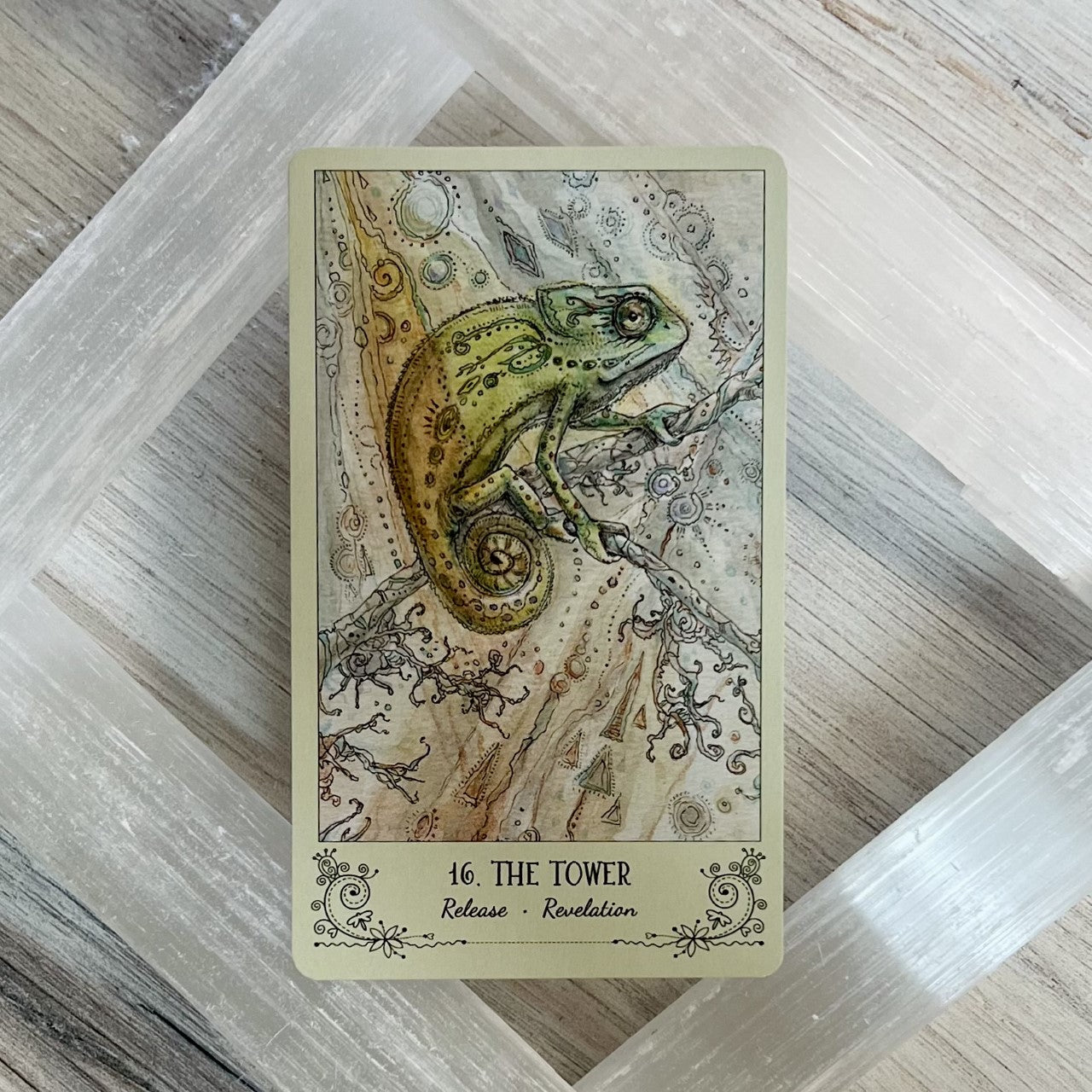 Spiritsong Tarot by Paulina Fae - Cassidy - The Mystical Moon Online Store