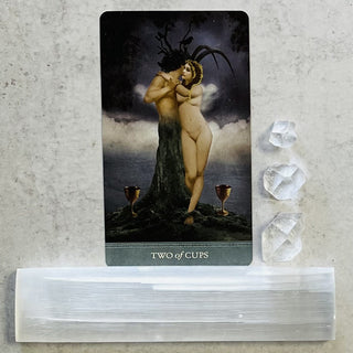 The Dreamkeepers Tarot by Liz Huston - The Mystical Moon Online Store
